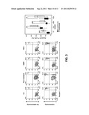 METHODS AND COMPOSITIONS FOR DIAGNOSIS AND TREATMENT OF AUTOIMMUNE DISEASE     SECONDARY TO MULTIPLE SCLEROSIS diagram and image