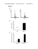 MINICHROMOSOME MAINTENANCE COMPLEX INTERACTING PROTEIN INVOLVED IN CANCER diagram and image