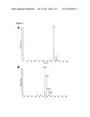 Novel immunotherapy against several tumors including gastrointestinal and     gastric cancer diagram and image