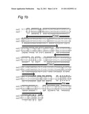 NOVEL mRNA SPLICE VARIANT OF THE DOUBLECORTIN-LIKE KINASE GENE AND ITS USE     IN DIAGNOSIS AND THERAPY OF CANCERS OF NEUROECTODERMAL ORIGIN diagram and image