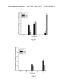 Drug Release From Nanoparticle-Coated Capsules diagram and image