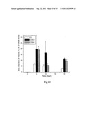 Drug Release From Nanoparticle-Coated Capsules diagram and image