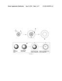 HOLLOW SILICA NANOSPHERES AND METHODS OF MAKING SAME diagram and image