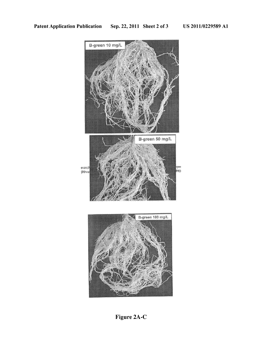 INSECT AND PLANT DISEASE CONTROL COMPOSITIONS AND METHODS OF USE THEREOF - diagram, schematic, and image 03