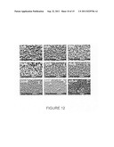 ALIGNED NANOSTRUCTURED POLYMERS diagram and image
