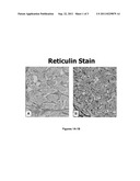 METHODS AND COMPOSITIONS FOR NUCLEAR STAINING diagram and image