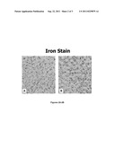 METHODS AND COMPOSITIONS FOR NUCLEAR STAINING diagram and image