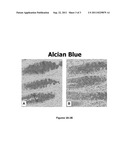 METHODS AND COMPOSITIONS FOR NUCLEAR STAINING diagram and image