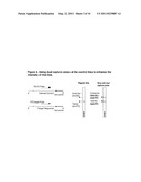 DETECTION OF NUCLEIC ACID AMPLIFICATION PRODUCTS IN THE PRESENCE OF AN     INTERNAL CONTROL SEQUENCE ON AN IMMUNOCHROMATOGRAPHIC STRIP diagram and image