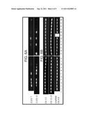 METHOD FOR PREDICTING A PATIENT S RESPONSIVENESS TO ANTI-FOLATE THERAPY diagram and image