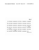 DETERMINATION OF IMMUNOGLOBULIN ENCODING NUCLEIC ACID diagram and image