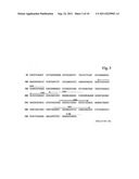 DETERMINATION OF IMMUNOGLOBULIN ENCODING NUCLEIC ACID diagram and image