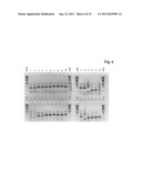 DETERMINATION OF IMMUNOGLOBULIN ENCODING NUCLEIC ACID diagram and image