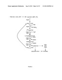 Microbial Conversion of Oils and Fatty Acids to High-Value Chemicals diagram and image