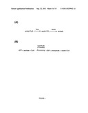 Microbial Conversion of Oils and Fatty Acids to High-Value Chemicals diagram and image