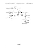 Microbial Conversion of Oils and Fatty Acids to High-Value Chemicals diagram and image