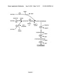 Microbial Conversion of Oils and Fatty Acids to High-Value Chemicals diagram and image