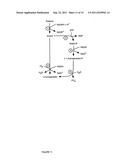 Microbial Conversion of Oils and Fatty Acids to High-Value Chemicals diagram and image