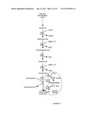 Microbial Conversion of Oils and Fatty Acids to High-Value Chemicals diagram and image