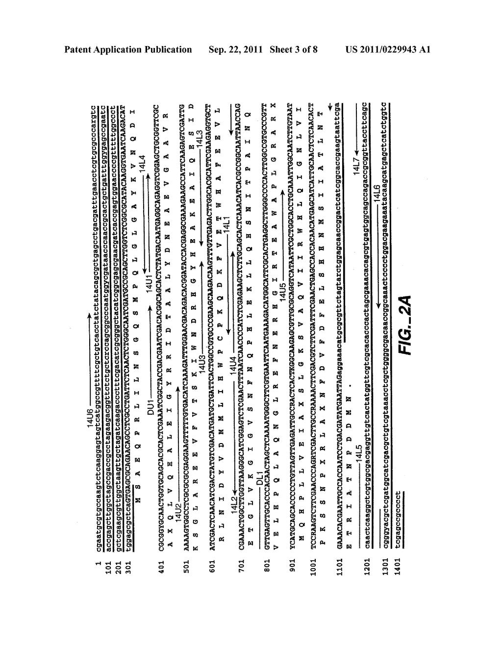 METHODS FOR CONVERTING GLUCOSE TO ASCORBIC ACID - diagram, schematic, and image 04