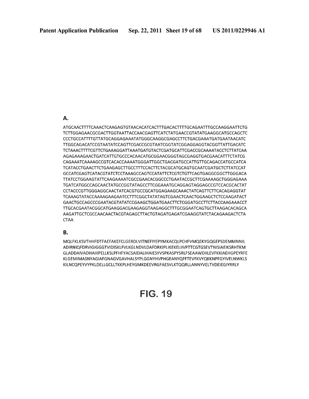 MICROORGANISMS FOR THE PRODUCTION OF 1,4-BUTANEDIOL, 4-HYDROXYBUTANAL,     4-HYDROXYBUTYRYL-COA, PUTRESCINE AND RELATED COMPOUNDS, AND METHODS     RELATED THERETO - diagram, schematic, and image 20