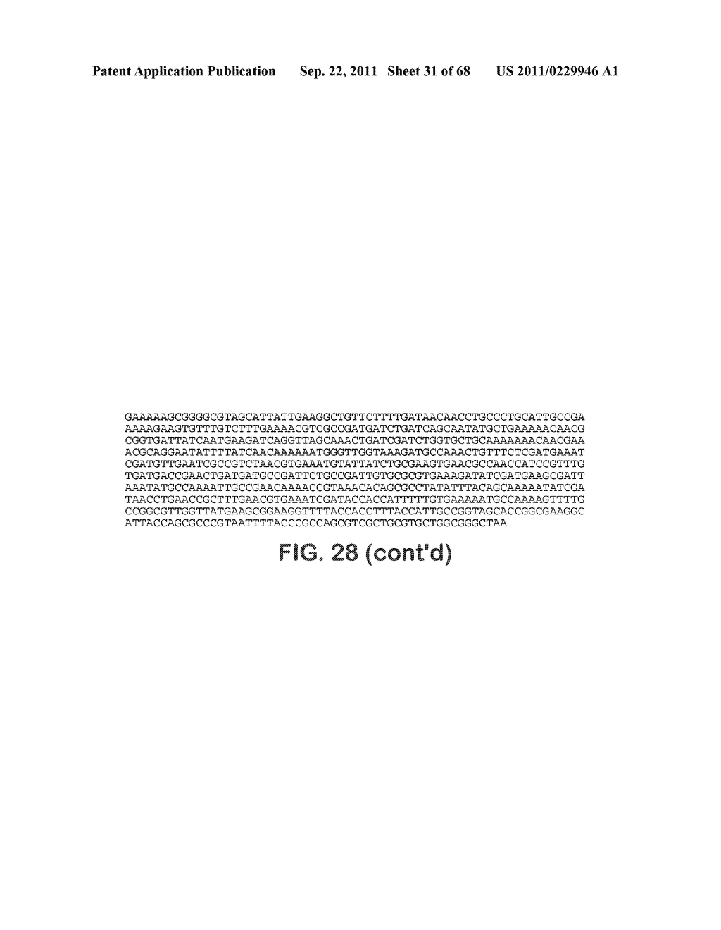 MICROORGANISMS FOR THE PRODUCTION OF 1,4-BUTANEDIOL, 4-HYDROXYBUTANAL,     4-HYDROXYBUTYRYL-COA, PUTRESCINE AND RELATED COMPOUNDS, AND METHODS     RELATED THERETO - diagram, schematic, and image 32