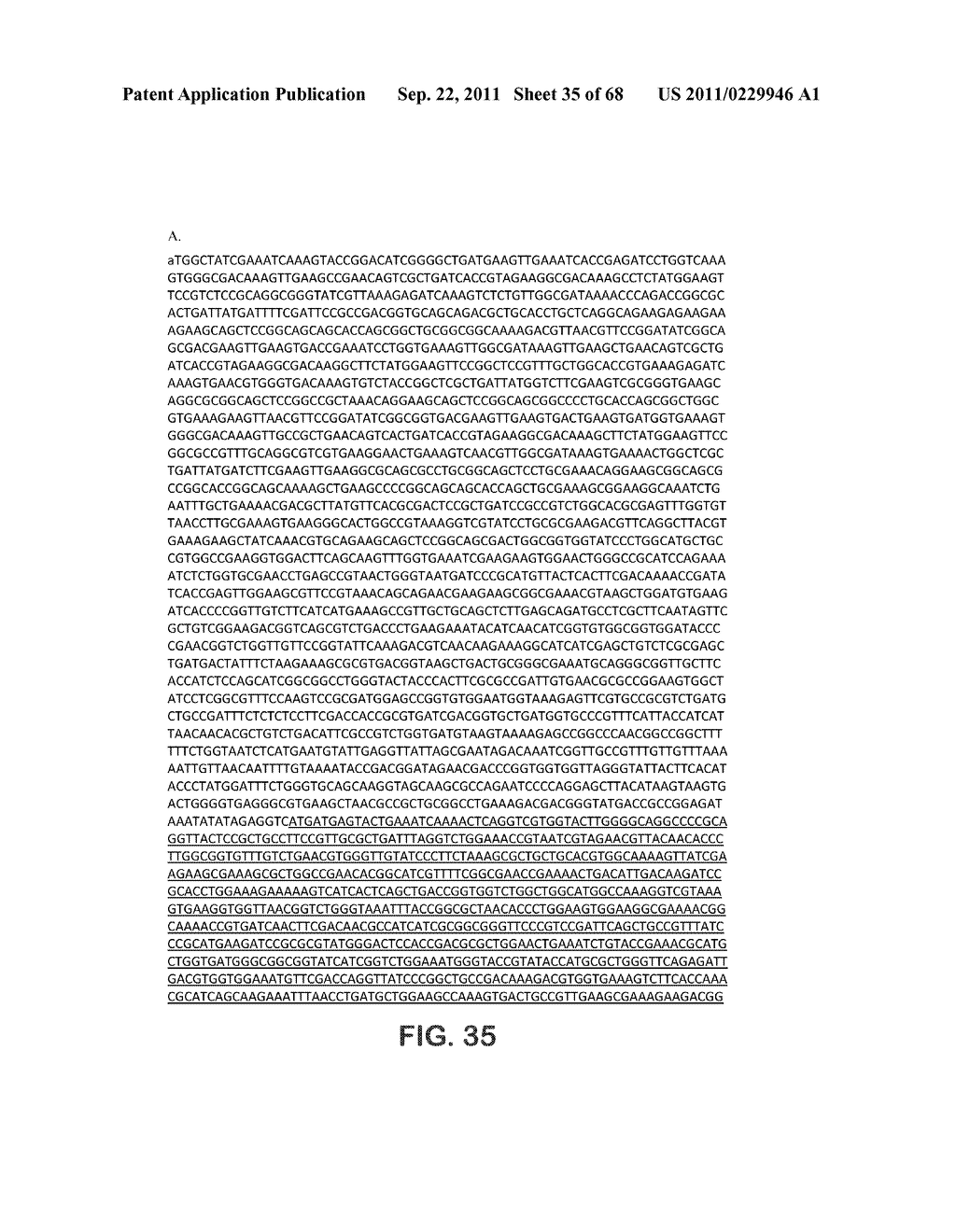 MICROORGANISMS FOR THE PRODUCTION OF 1,4-BUTANEDIOL, 4-HYDROXYBUTANAL,     4-HYDROXYBUTYRYL-COA, PUTRESCINE AND RELATED COMPOUNDS, AND METHODS     RELATED THERETO - diagram, schematic, and image 36