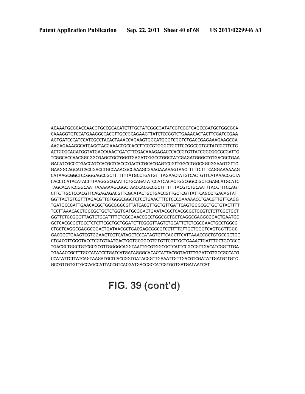 MICROORGANISMS FOR THE PRODUCTION OF 1,4-BUTANEDIOL, 4-HYDROXYBUTANAL,     4-HYDROXYBUTYRYL-COA, PUTRESCINE AND RELATED COMPOUNDS, AND METHODS     RELATED THERETO - diagram, schematic, and image 41