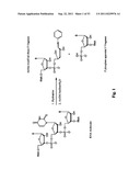 Sequencing of nucleic acid molecules by mass spectrometry diagram and image