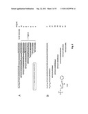 Sequencing of nucleic acid molecules by mass spectrometry diagram and image