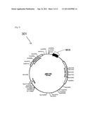 METHOD FOR BINDING A PROTEIN CONSISTING OF PROTEIN A OR CONSISTING OF AT     LEAST ONE DOMAIN OF THE A TO E DOMAINS OF THE PROTEIN A TO THE SUBSTRATE diagram and image