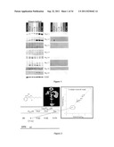 NA CHANNELS, DISEASE, AND RELATED ASSAYS AND COMPOSITIONS diagram and image