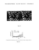 NA CHANNELS, DISEASE, AND RELATED ASSAYS AND COMPOSITIONS diagram and image