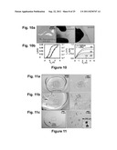 IMPLANTABLE BIOMEDICAL DEVICES ON BIORESORBABLE SUBSTRATES diagram and image