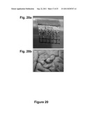 IMPLANTABLE BIOMEDICAL DEVICES ON BIORESORBABLE SUBSTRATES diagram and image