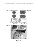 IMPLANTABLE BIOMEDICAL DEVICES ON BIORESORBABLE SUBSTRATES diagram and image