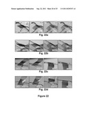 IMPLANTABLE BIOMEDICAL DEVICES ON BIORESORBABLE SUBSTRATES diagram and image