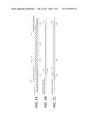 DEVICE AND METHOD FOR INDEPENDENTLY STIMULATING HEMIDIAPHRAGMS diagram and image