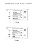 FLASH MEMORY MODULE diagram and image