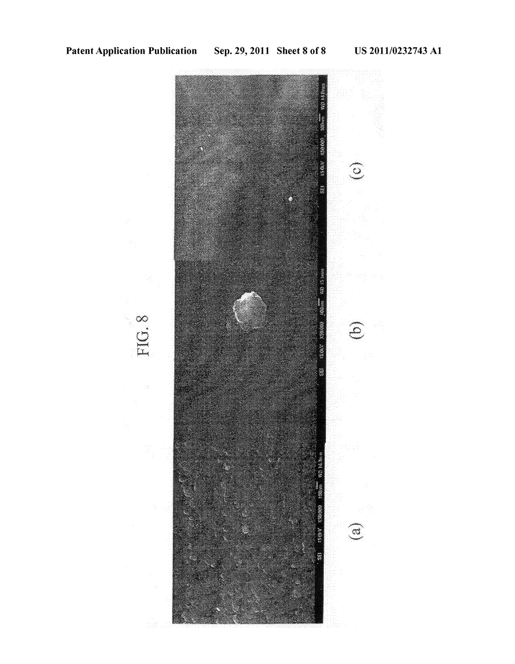 DYE-SENSITIZED SOLAR CELL AND MANUFACTURING METHOD FOR THE SAME - diagram, schematic, and image 09