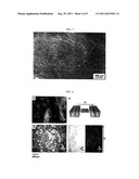 GRAPHENE COMPOSITION HAVING LIQUID CRYSTALLINE PROPERTIES AND PREPARATION     METHOD THEREOF diagram and image