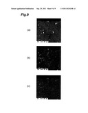 RARE-EARTH MAGNET, METHOD OF MANUFACTURING RARE-EARTH MAGNET, AND ROTATOR diagram and image