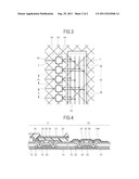 DISPLAY DEVICE diagram and image