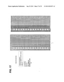 Digital analog converter circuit, digital driver and display device diagram and image