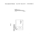 AUTO WHITE BALANCE CORRECTION VALUE CALCULATION DEVICE, METHOD, PROGRAM,     AND IMAGE PICKUP DEVICE diagram and image