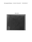 ELECTROCHROMIC MATERIAL AND ELECTROCHROMIC DEVICE INCLUDING THE SAME diagram and image