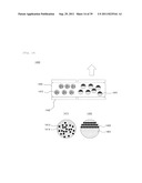 DISPLAY METHOD AND DEVICE USING PHOTONIC CRYSTAL CHARACTERISTICS diagram and image