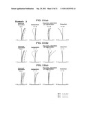 Objective lens for endoscopes diagram and image