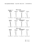 Objective lens for endoscopes diagram and image