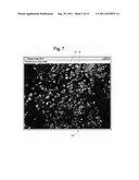 Quantitative, multispectral image analysis of tissue specimens stained     with quantum dots diagram and image